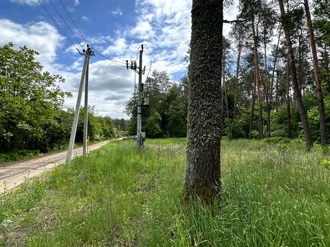 участок по адресу Грибна