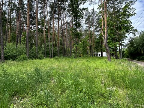 участок по адресу Грибна
