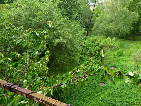 квартира за адресою Олександра Довженка вул., 7-Б