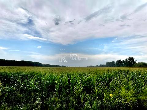 ділянка за адресою Центральна
