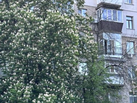 квартира по адресу Євгена Гуцала пер. (Кутузова), 3