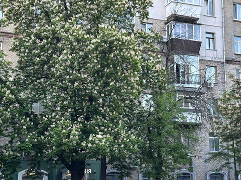 квартира по адресу Євгена Гуцала пер. (Кутузова), 3