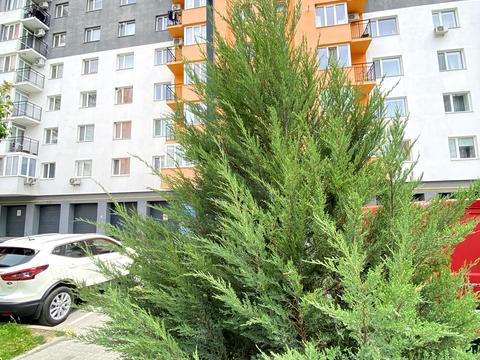 квартира за адресою Немирівське шосе, 94-Е, к1-3