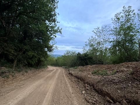 1866253024937029