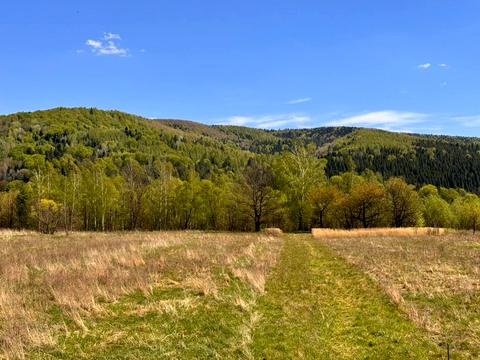 участок по адресу Шевченка, 118