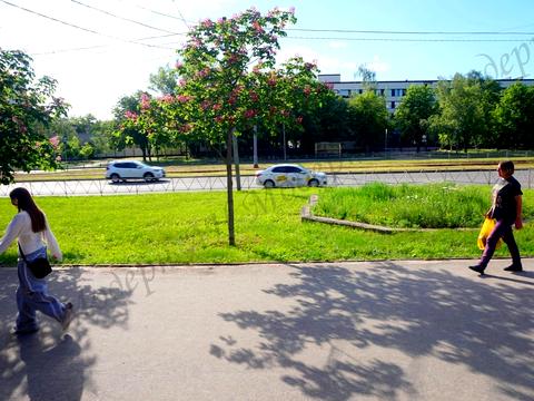коммерческая по адресу Победы просп., 50