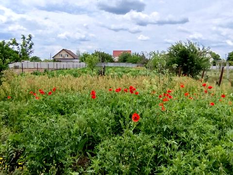 дом по адресу Поштова