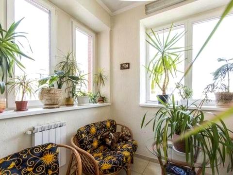квартира за адресою Панаса Мирного вул., 12