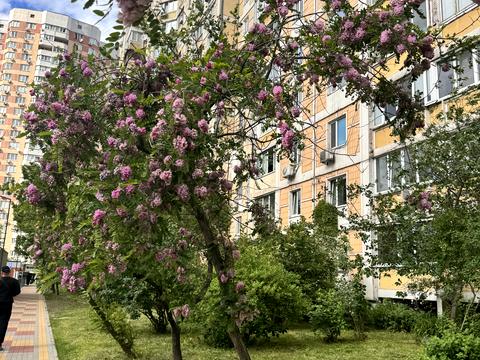 квартира по адресу Петра Григоренко просп., 1/7