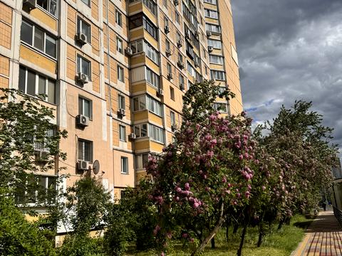 квартира по адресу Петра Григоренко просп., 1/7