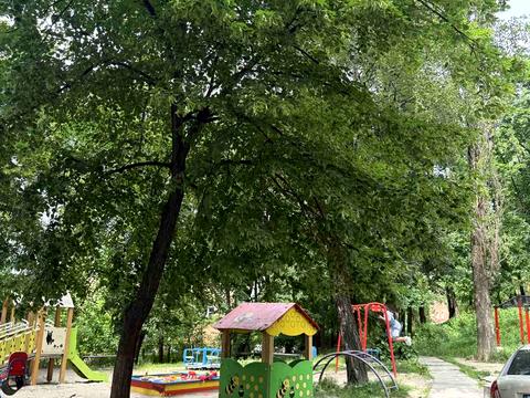 квартира за адресою Щусєва вул., 44