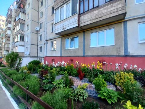 квартира за адресою Олени Теліги вул., 43