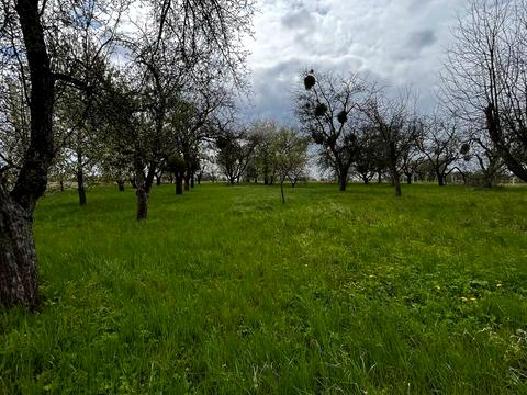 участок по адресу Задворного ул., 10