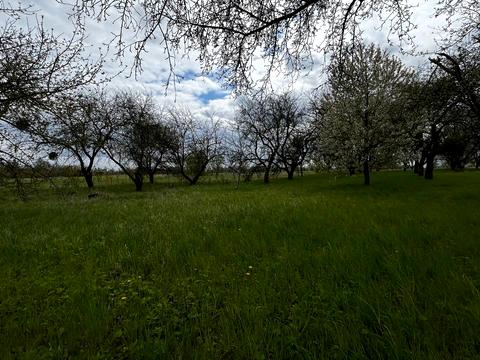 участок по адресу Задворного ул., 10