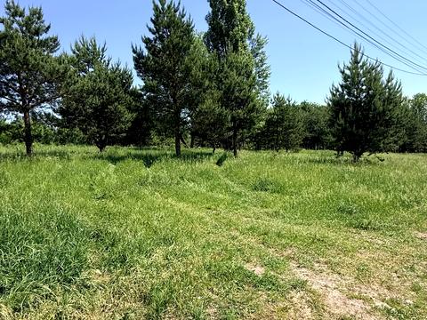 будинок за адресою Лісова вул., 17