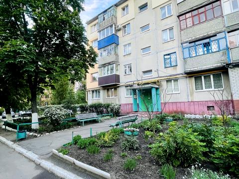 квартира за адресою Миру вул., 17