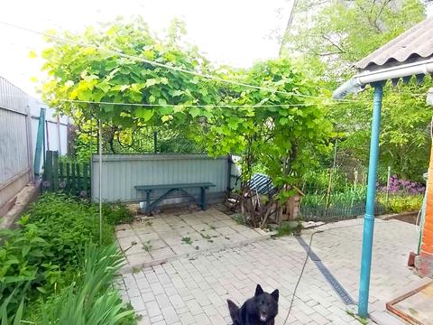 дом по адресу Свято-Богородицька (Тітова)