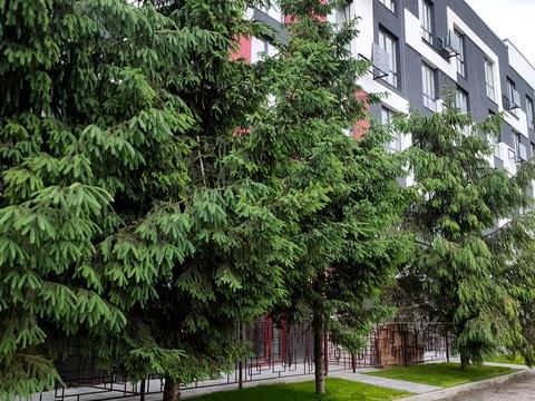 комерційна за адресою Інститутська вул., 5/1