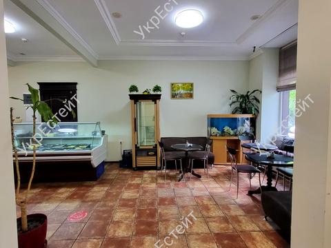 комерційна за адресою Данилевського вул., 19