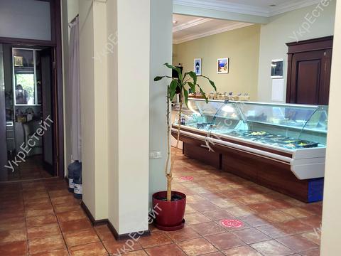 комерційна за адресою Данилевського вул., 19