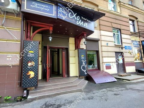комерційна за адресою Данилевського вул., 19