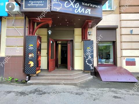 комерційна за адресою Данилевського вул., 19