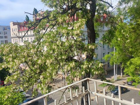 квартира по адресу Льва Толстого ул. (Льва Толстого), 15