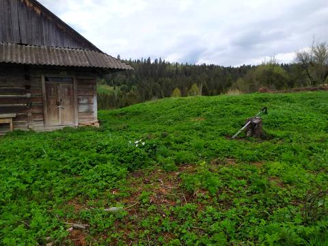 дом по адресу Зворець
