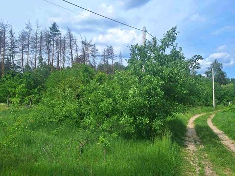 участок по адресу Жирного, 41/3