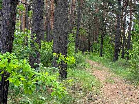 будинок за адресою Гірський пров., 66