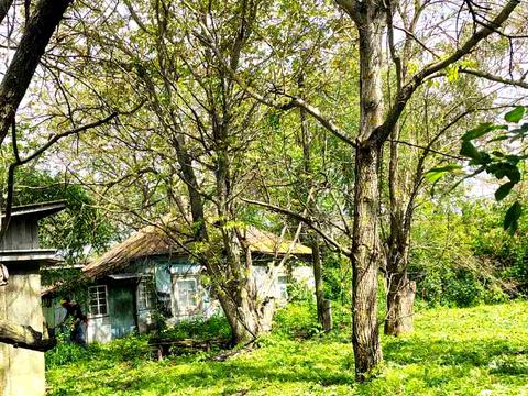 участок по адресу Мічуріна