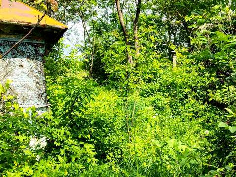 участок по адресу Мічуріна