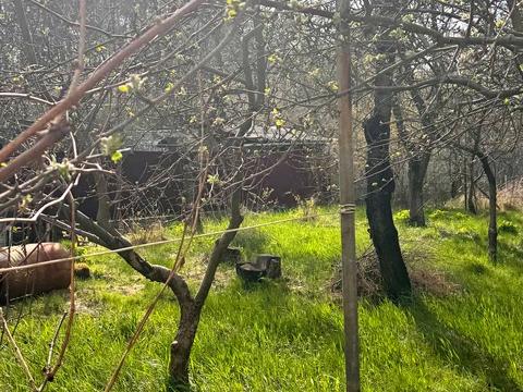 будинок за адресою с. Гаврилівка, Північна