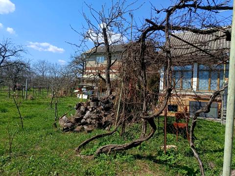 будинок за адресою с. Грозинці, Хотинська