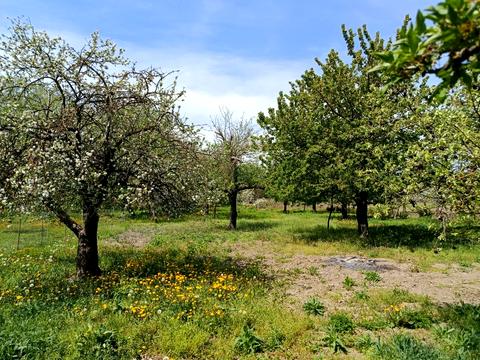 будинок за адресою Гетьмана Дорошенка вул. (Красіна)