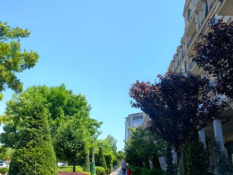 квартира за адресою Грецька вул., 2