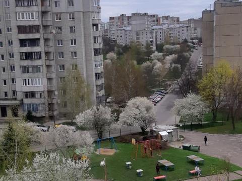 квартира за адресою Червоної Калини просп., 117