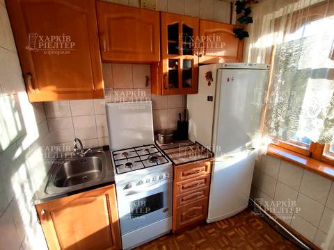 квартира по адресу Юбилейный просп. (50-летия ВЛКСМ), 84