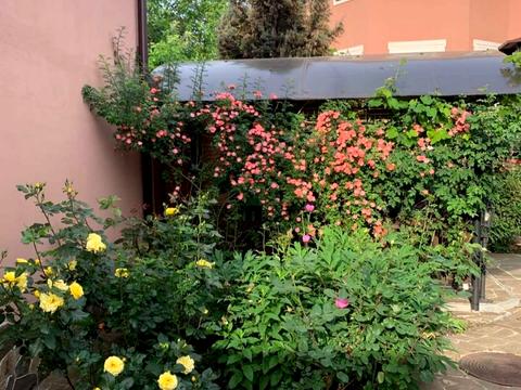 будинок за адресою Дмитра Антоненка вул. (Мінська), 98