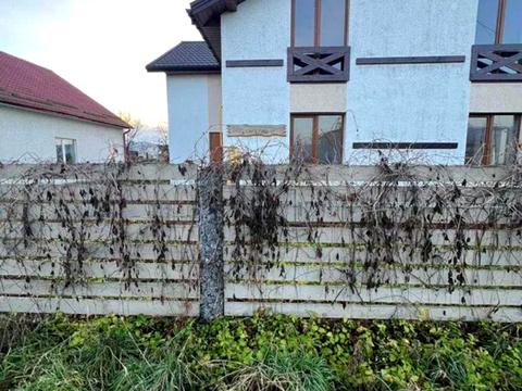 будинок за адресою с. Басівка, Терешкова