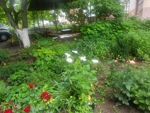 квартира за адресою Мельницька вул., 3
