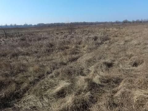 ділянка за адресою Погребський шлях вул.