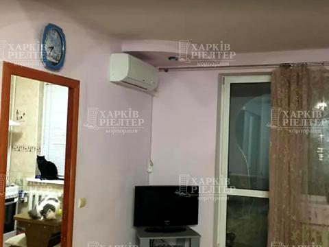 квартира по адресу Гвардейцев-Широнинцев ул., 7