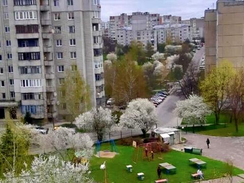 квартира за адресою Червоної Калини просп., 123
