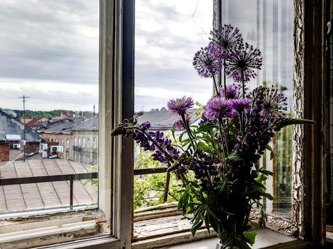 квартира за адресою Івана Франка вул., 17