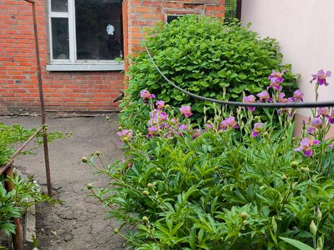 будинок за адресою Академіка Павлова вул., 39