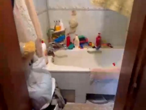квартира по адресу Мира ул., 42