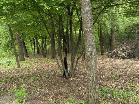ділянка за адресою Незалежності