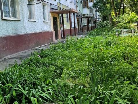 квартира по адресу Запорожского Казачества ул., 23