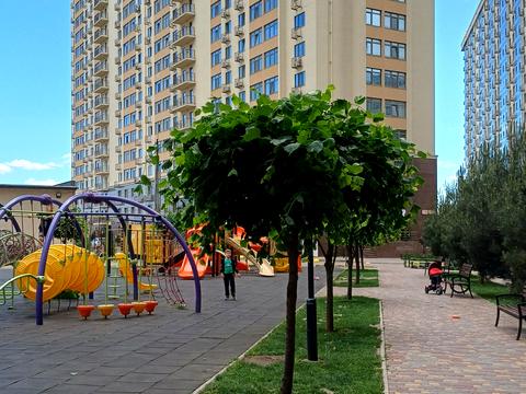 квартира за адресою Академіка Сахарова вул., 3-А